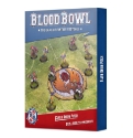 Blood Bowl: Elven Union Pitch and Dugouts 