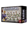 Blood Bowl: Elven Union Team: The Elfheim Eagles 