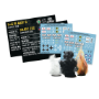 Bolt Action: German: Fallschirmjäger (Winter) Starter Army - 402612102 [5060917994064]