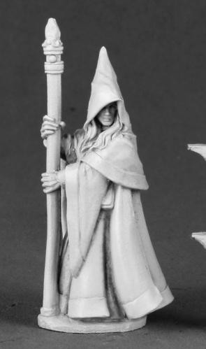Dark Heaven Legends:  Anirion, Wood Elf Wizard 