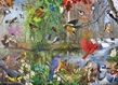 Cobble Hill Puzzles (1000): Birds of the Season - 80243 [625012802437]