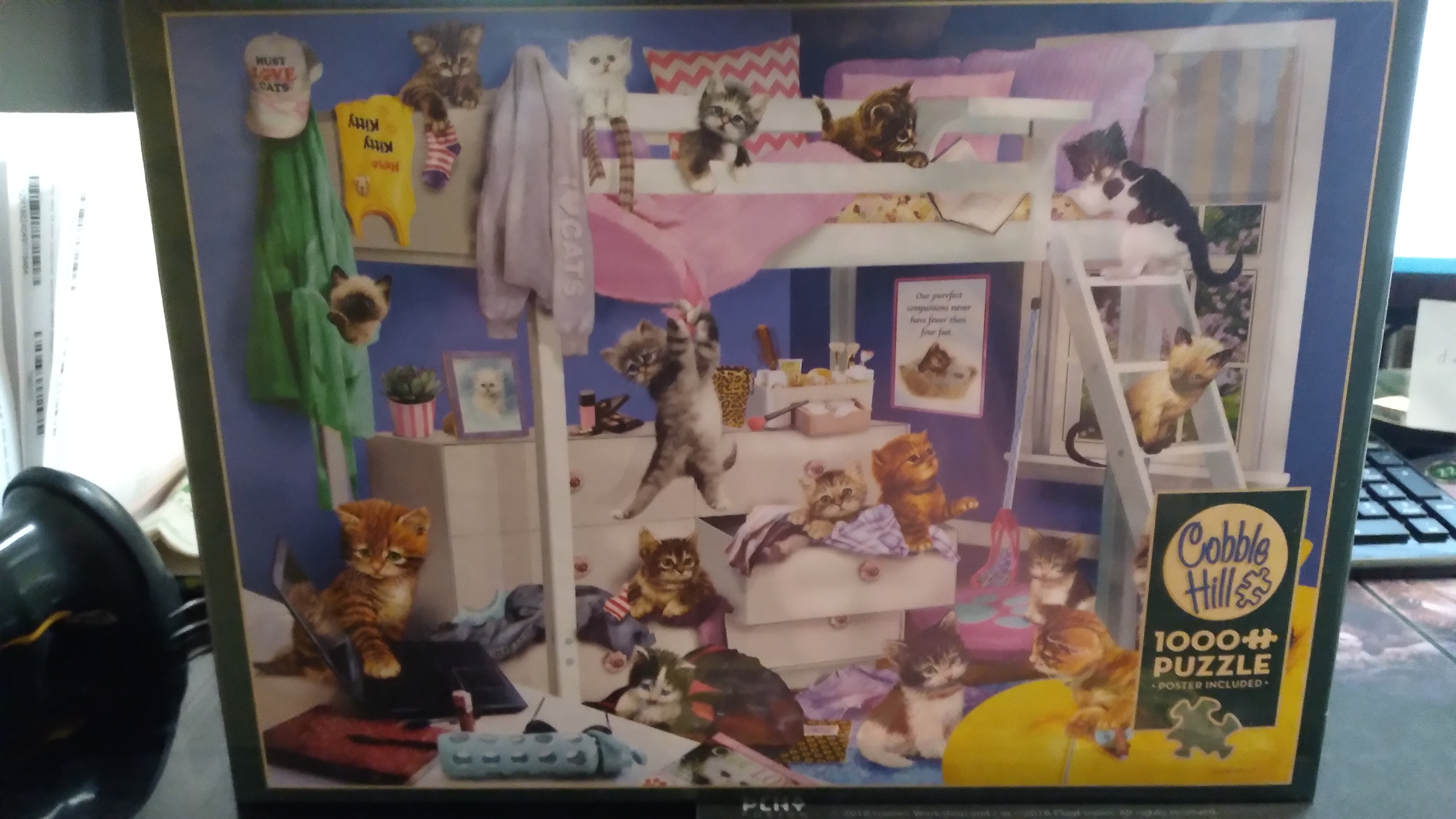 Cobble Hill Puzzles (1000): Kitten Slumber Party 