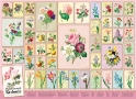 Cobble Hill Puzzles (1000): Redoute 