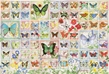 Cobble Hill Puzzles (2000): Butterflies and Blossoms - 89018 [625012890182]