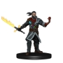 Critical Role: Factions of Wildemount - Clovis Concord & Menagerie Coast Box Set - 74255 [634482742556]