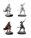 Critical Role Unpainted Minis: HALF-ELF PALADIN XHORHAS 
