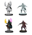 Critical Role Unpainted Minis: HOLLOW ONE ROGUE/SORCEROR MALE 