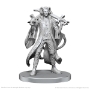 Critical Role: Mollymauk Tealeaf & Caduceus Clay - WK90790 [634482907900]