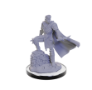 Critical Role Unpainted Minis: Xhorhasian Mage/Prowler - 90665 [634482906651]