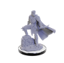 Critical Role Unpainted Minis: Xhorhasian Mage/Prowler - 90665 [634482906651]