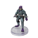 D&D Icons of the Realms 22:Fizbans Treasury of Dragons : #15 Amethyst Dragonborn (U) 