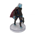 D&D Icons of the Realms 22:Fizbans Treasury of Dragons : #35 Dragonborn of Tiamat (R) 