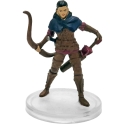 D&D Icons of the Realms 25: Dragonlance: Shadow of the Dragon Queen: #11 Ansalon Human C (C) 