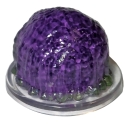D&D Icons of the Realms 25: Dragonlance: Shadow of the Dragon Queen: #17 Purple Worm Eggs (U) 