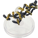 D&D Icons of the Realms 26: SAND AND STONE: 19: Swarm of Insects (Wasps) (U) 