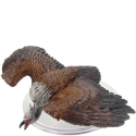 D&D Icons of the Realms 26: SAND AND STONE: 27: Giant Vulture (U) 