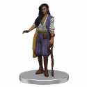 D&D Icons of the Realms 27: Glory of the Giants: #16 Elf Druid Circle of the Primeval (U) 