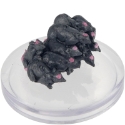 D&D Icons of the Realms 30: Planescape Adventures in the Multiverse: #11 Swarm of Cranium Rat Squeakers (C) 