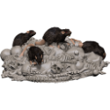 D&D Icons of the Realms: Adventure In A Box: Wererat Den 