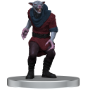 D&amp;D Icons of the Realms: Adventure In A Box: Wererat Den - 96207 [634482962077]