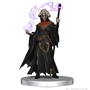 D&amp;D Icons of the Realms: The Wild Beyond the Witchlight: League of Malevolence - 96097 [634482960974]