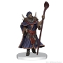 D&amp;D Icons of the Realms: The Wild Beyond the Witchlight: League of Malevolence - 96097 [634482960974]