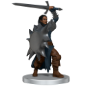 D&D Icons of the Realms: Dragon Army Warband 