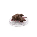 D&D Icons of the Realms: Mordenkainen Presents: Monsters of the Multiverse: #07 Cranium Rats (C) 