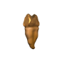 D&amp;D Icons of the Realms: Teeth Of Dahlver-Nar Bite-Sized Artifact  - 96122 [634482961223]
