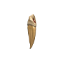 D&amp;D Icons of the Realms: Teeth Of Dahlver-Nar Bite-Sized Artifact  - 96122 [634482961223]