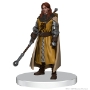 D&amp;D Icons of the Realms: The Wild Beyond the Witchlight - Valor's Call - 96096 [634482960967]