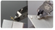 DSPIAE: Ultimate Bladeless Pliers - DSP-ST-L [6970845563340]