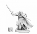 Dark Heaven Legends: Anduriel, Male Elf Paladin 