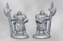 Dark Heaven Legends: City Guard (2) 