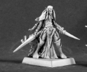 Reaper: Dark Heaven Bones: Dark Elf Warrior 