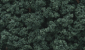 Woodland Scenics: Bushes- Dark Green (32oz Shaker) 