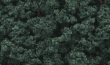 Woodland Scenics: Bushes- Dark Green (32oz Shaker) - WS1647 [724771016472]