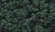Woodland Scenics: Bushes- Dark Green (32oz Shaker) - WS1647 [724771016472]
