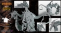 Darklands: Gynroch ap Roch, Wocor of Powys 