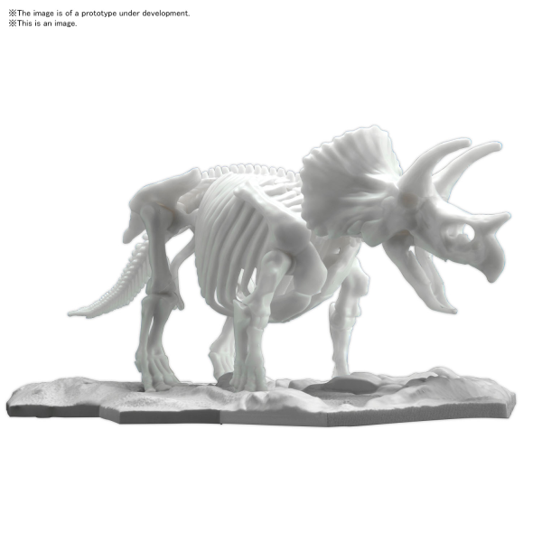 Dinosaur Model Kit: LIMEX Skeleton Triceratops 