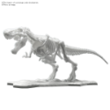 Dinosaur Model Kit: LIMEX Skeleton Tyrannosaurus 