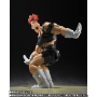 Dragon Ball: Recoome (S.H.Figuarts P-Bandai Exclusive) - F2866179E [4573102736642]