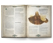 Dragonbane: Book Of Magic - FLFDGB021 [9789190079096]