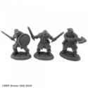 Dungeon Dwellers: Bandits Human Brigands 