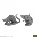 Dungeon Dwellers: Barrow Rats 