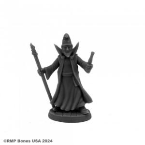 Dungeon Dwellers: Burnardo, Heroic Wizard