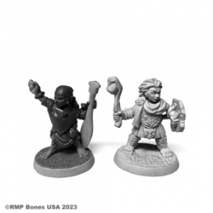 Dungeon Dwellers: Halfling River Witch and Druid