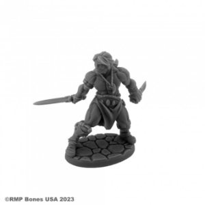 Dungeon Dwellers: Hyborian Hero