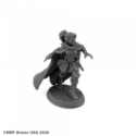 Dungeon Dwellers: Lothiriel, Female Elf Rogue Elf Thief 