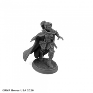 Dungeon Dwellers: Lothiriel, Female Elf Rogue Elf Thief